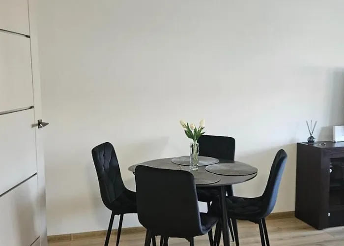 Kauno Street Apartment *